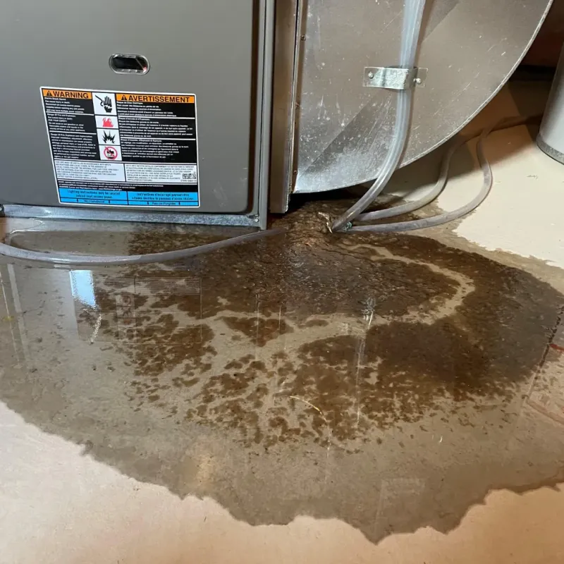 Appliance Leak Cleanup in Waltham, MA